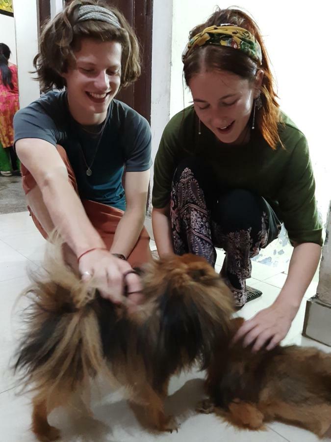 Sukhmani Home Stay อัมริตสา ภายนอก รูปภาพ